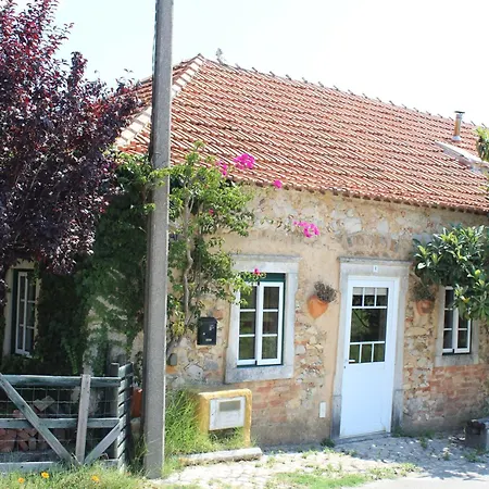 Pereira Albergue