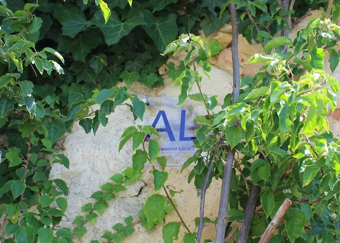 Pereira אכסניה *