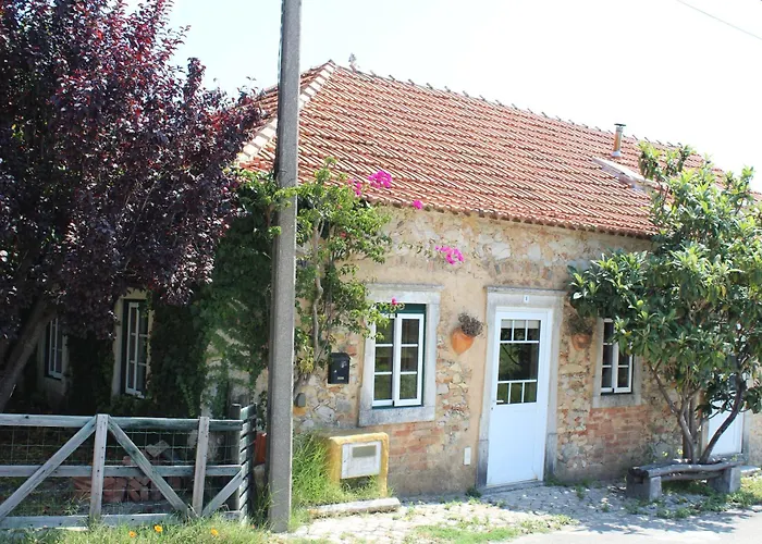 Pereira ホステル